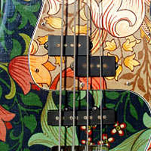 j douglas guitars url